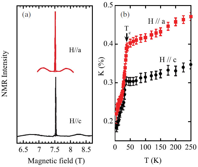 11_Fig1.jpg